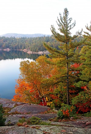 Fall Colors George Lake